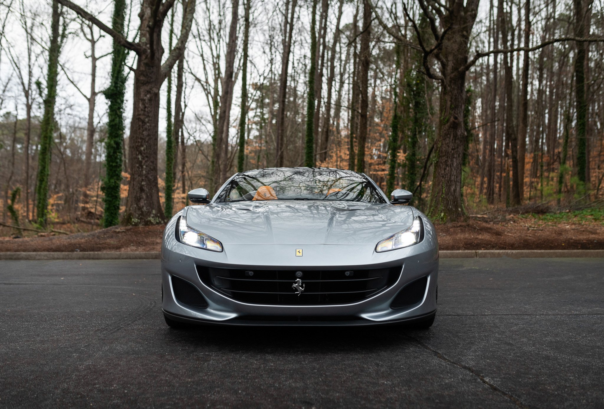 2019 Ferrari Portofino for sale